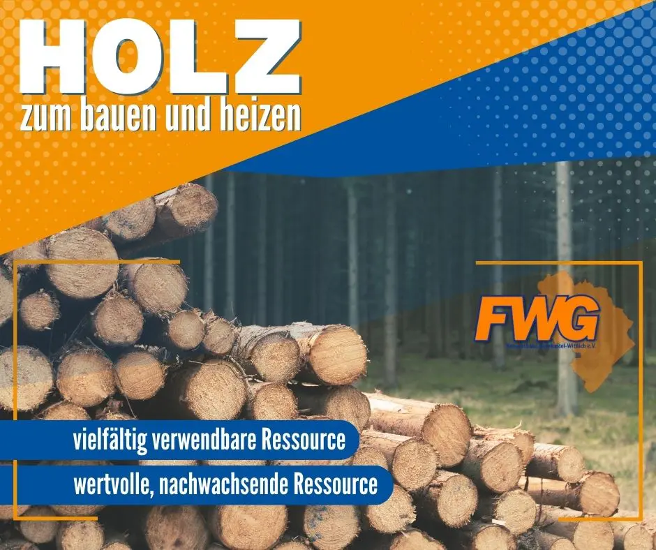 Holz 2023